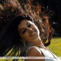 Tapsee Pannu Latest Stills | Picture 115831